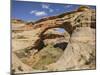Sipapu Bridge, Natural Bridges National Monument, Utah, United States of America, North America-Gary Cook-Mounted Photographic Print