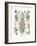 Siphonophorae, 1899-1904-null-Framed Giclee Print