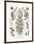 Siphonophorae, 1899-1904-null-Framed Giclee Print