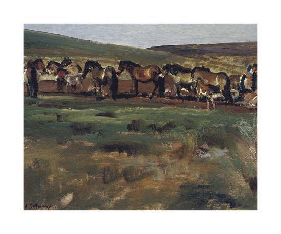 Premium Giclee Print, , large