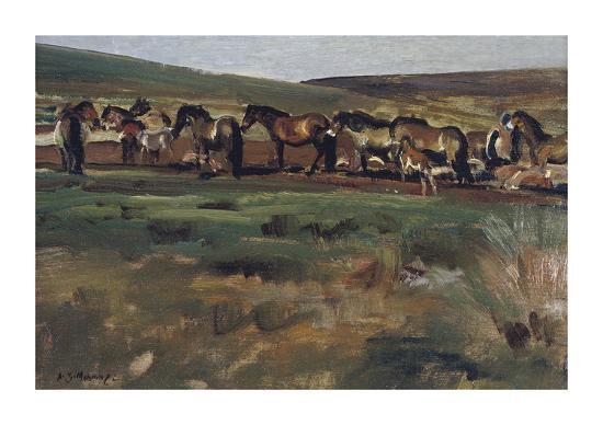 Premium Giclee Print, , large