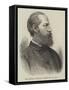 Sir Arthur Gordon, Governor of Fiji-null-Framed Stretched Canvas