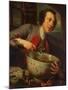 Sir Bouchier Wrey, 1744 (Oil on Canvas)-George Knapton-Mounted Giclee Print