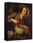 Sir Bouchier Wrey, 1744 (Oil on Canvas)-George Knapton-Framed Stretched Canvas
