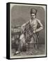 Sir Cursetjee Jamsetjee, Baronet, of Bombay-null-Framed Stretched Canvas