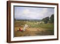 Brown Frame