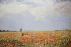 Poppy Field, 1886-Sir David Murray-Giclee Print