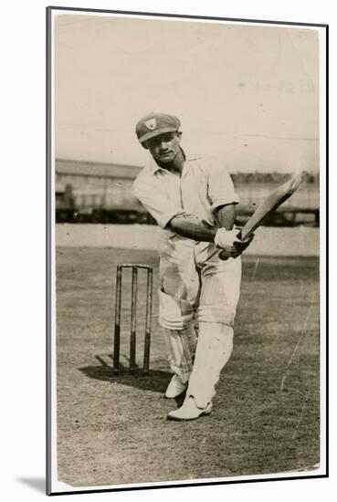 Sir Donald Bradman-null-Mounted Art Print