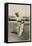Sir Donald Bradman-null-Framed Stretched Canvas