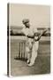 Sir Donald Bradman-null-Stretched Canvas