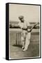 Sir Donald Bradman-null-Framed Stretched Canvas