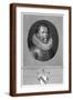 Brown Frame