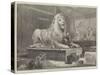 Sir Edwin Landseer Modelling the Lions for Trafalgar-Square-Arthur Hopkins-Stretched Canvas