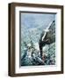 Sir Ernest Shackleton's Antarctic Expedition on the Quest 1921-22-C.l. Doughty-Framed Giclee Print