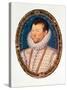 Sir Francis Drake, 1581-Nicholas Hilliard-Stretched Canvas