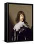 Sir Francis Godolphin, 1633-Cornelius Janssen van Ceulen-Framed Stretched Canvas