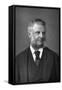 Sir Frederick Augustus Abel (1827-190), English Chemist, 1890-W&d Downey-Framed Stretched Canvas