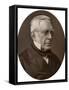 Sir George Biddell Airy, Kcb, Frs, Astronomer Royal, 1877-Lock & Whitfield-Framed Stretched Canvas