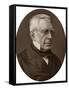 Sir George Biddell Airy, Kcb, Frs, Astronomer Royal, 1877-Lock & Whitfield-Framed Stretched Canvas