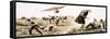 Sir George Cayley's Coachman Flies an Aircraft in 1852-null-Framed Stretched Canvas