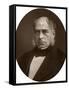 Sir Henry Bessemer, Inventor and Engineer, 1881-null-Framed Stretched Canvas