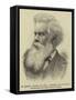 Sir Henry Parkes, Premier and Colonial Secretary of New South Wales-null-Framed Stretched Canvas