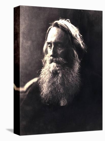 Sir Henry Taylor, 19th Century English Dramatist-Julia Margaret Cameron-Stretched Canvas