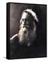 Sir Henry Taylor, 19th Century English Dramatist-Julia Margaret Cameron-Framed Stretched Canvas