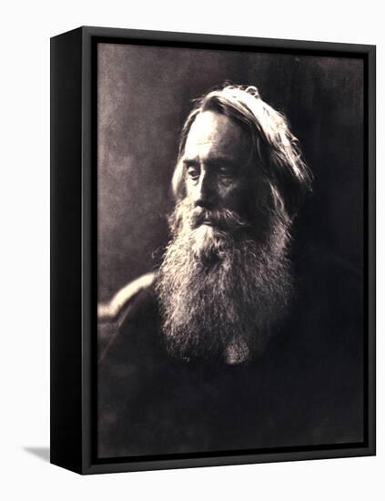 Sir Henry Taylor, 19th Century English Dramatist-Julia Margaret Cameron-Framed Stretched Canvas