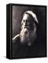 Sir Henry Taylor, 19th Century English Dramatist-Julia Margaret Cameron-Framed Stretched Canvas