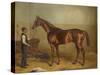 Sir Hugo as a threeyear old held by Groom in a Stable-W.H. Hopkins-Stretched Canvas