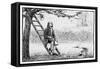 Sir Isaac Newton-null-Framed Stretched Canvas