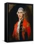 Sir Jeffery Amherst-Thomas Gainsborough-Framed Stretched Canvas