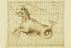 Taurus and Orion-Sir John Flamsteed-Art Print