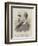 Sir John Hercules Robinson, Chief Commissioner of Cape Colony-null-Framed Giclee Print