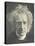 Sir John Herschel-Julia Margaret Cameron-Stretched Canvas