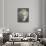 Sir John Herschel-Julia Margaret Cameron-Giclee Print displayed on a wall