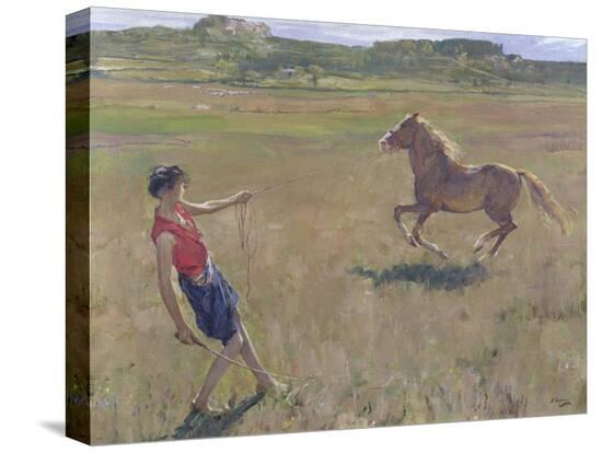 Stretched Canvas Print, , large