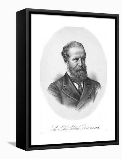 Sir John Lubbock-null-Framed Stretched Canvas