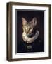 Sir Kiko-Paulo Dias-Framed Photographic Print