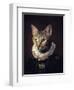 Sir Kiko-Paulo Dias-Framed Photographic Print