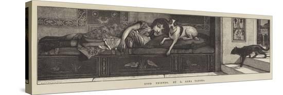 Stretched Canvas Print, , large