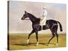 Sir Mark Wood's Racehorse 'Lucetta' with J. Robinson Up-John Frederick Herring I-Stretched Canvas