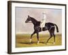 Sir Mark Wood's Racehorse 'Lucetta' with J. Robinson Up-John Frederick Herring I-Framed Giclee Print