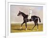 Sir Mark Wood's Racehorse 'Lucetta' with J. Robinson Up-John Frederick Herring I-Framed Giclee Print