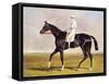 Sir Mark Wood's Racehorse 'Lucetta' with J. Robinson Up-John Frederick Herring I-Framed Stretched Canvas