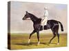 Sir Mark Wood's Racehorse 'Lucetta' with J. Robinson Up-John Frederick Herring I-Stretched Canvas