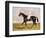 Sir Mark Wood's Racehorse 'Lucetta' with J. Robinson Up-John Frederick Herring I-Framed Premium Giclee Print