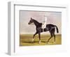 Sir Mark Wood's Racehorse 'Lucetta' with J. Robinson Up-John Frederick Herring I-Framed Premium Giclee Print