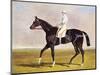 Sir Mark Wood's Racehorse 'Lucetta' with J. Robinson Up-John Frederick Herring I-Mounted Premium Giclee Print